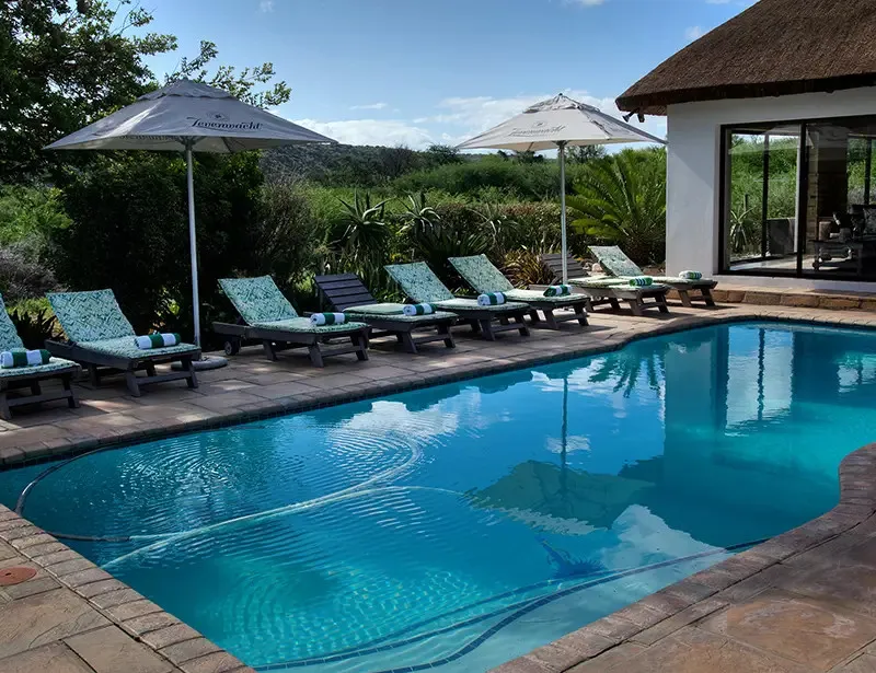 Swimming pool with lounge chairs and umbrellas in a garden setting