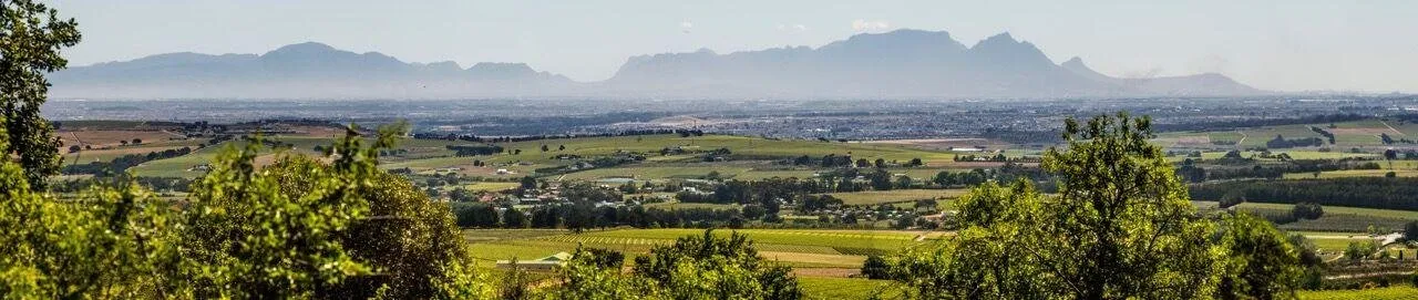 Panoramic view of mountains and green fields with trees in the foreground