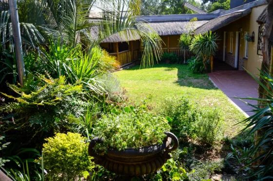 Lush garden with green plants grass and a yellow building with a thatched roof