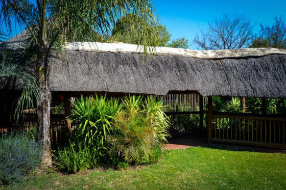Thatchedroof structure with plants in a garden under a blue sky