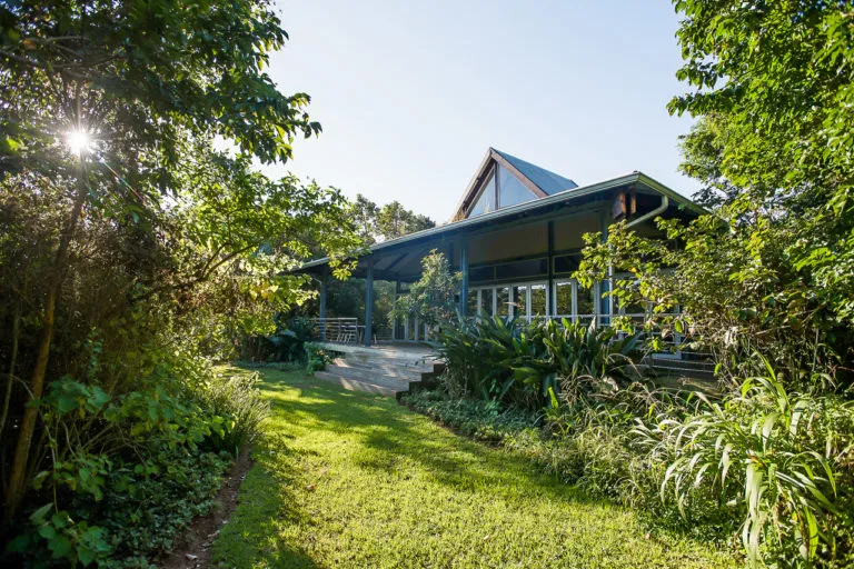 Modern house surrounded by lush greenery and trees in a sunny setting