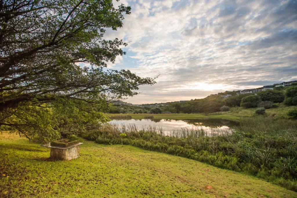 A serene pond with green grass trees and a cloudy sky