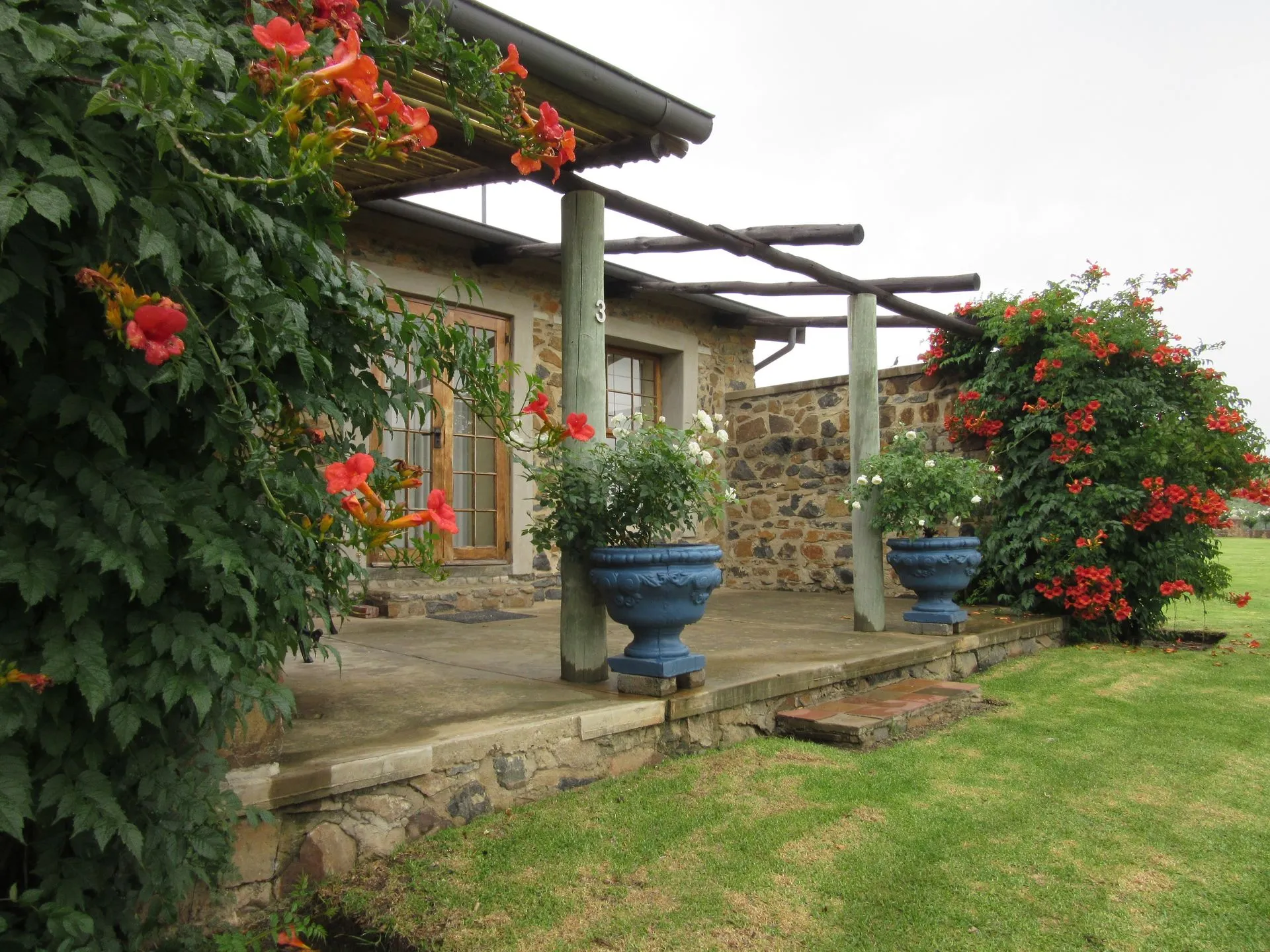 A house with flowering plants in blue pots on a stone patio