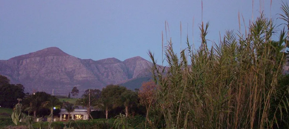 Mountains in the background with tall grasses in the foreground at dusk