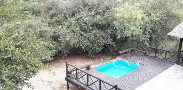 Small pool on wooden deck surrounded by lush greenery and trees