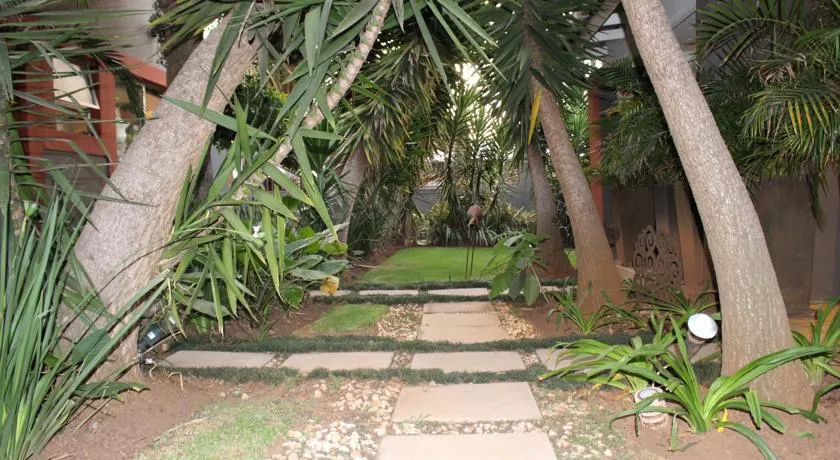 Pathway through a lush garden with tall palm trees and green plants
