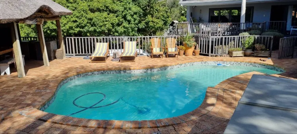 Swimming pool with lounge chairs potted plants and a thatchedroof area