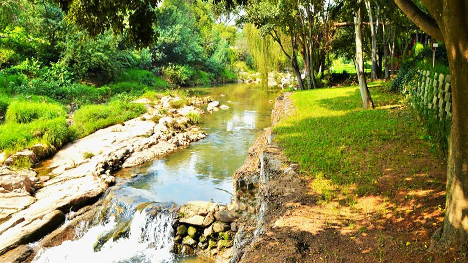 A small river flowing through a lush green park with trees and grass