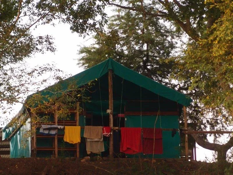 Green tent with clothes hanging outside surrounded by trees