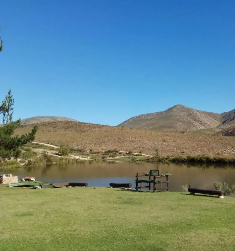 Grassy area by a river with hills in the background