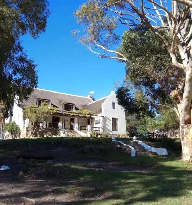 White house with a thatched roof surrounded by trees on a sunny day
