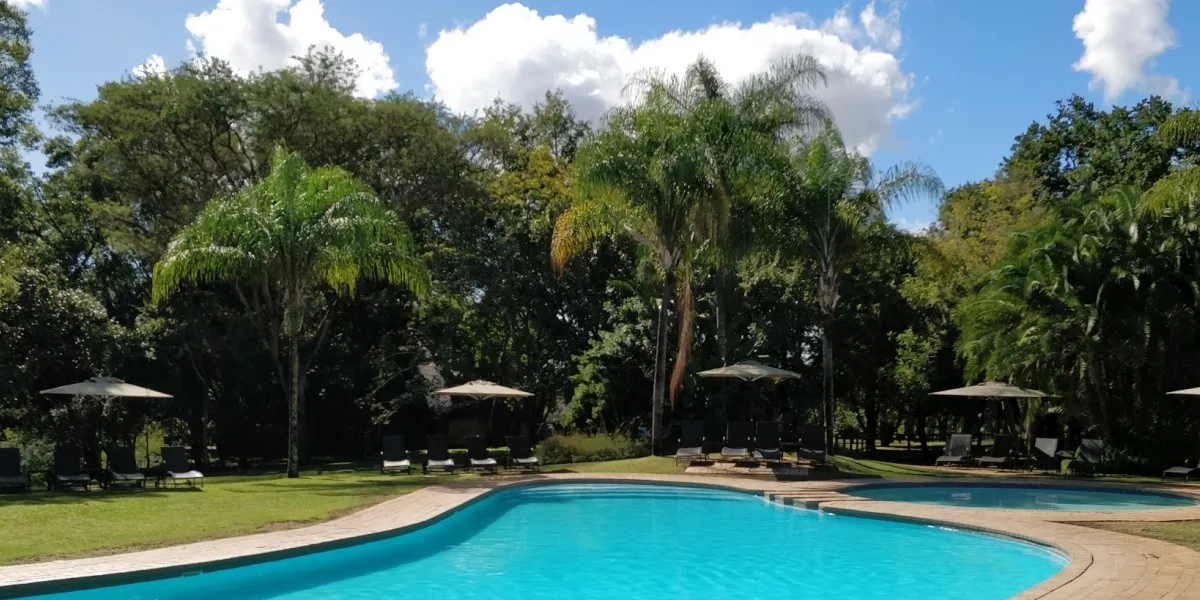 Tropical resort with two swimming pools palm trees and lounge chairs