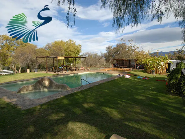 Swimming pool in a garden with logo overlay trees and mountains in background