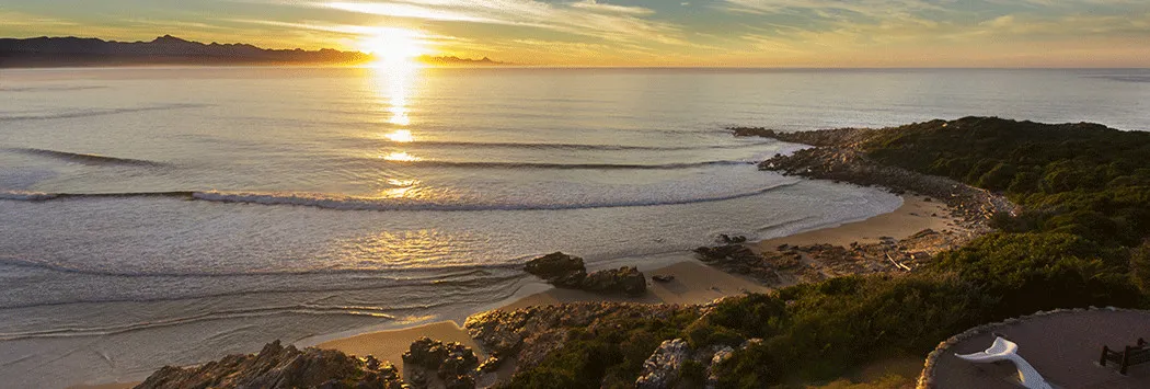 Sunset over ocean with waves rocky shore and greenery in the foreground