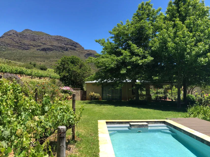 Swimming pool in a garden with mountains and trees in the background