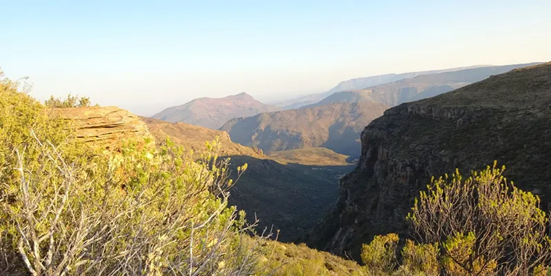 Mountain valley with shrubs in the foreground under a clear sky