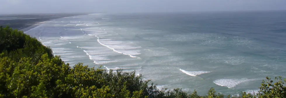 Ocean waves breaking along a shoreline with green vegetation on the left