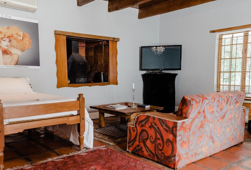 Cozy living room with bed, patterned sofa, TV, and wall art.