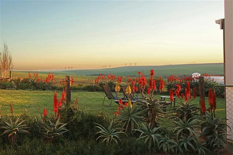 Garden with red flowering plants chairs and a distant field under a sunset sky