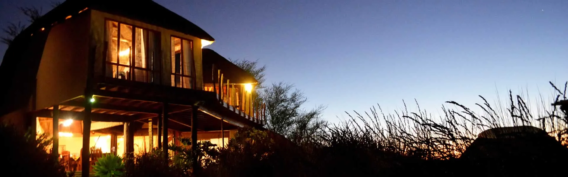 House with lit windows at dusk surrounded by tall grass and trees