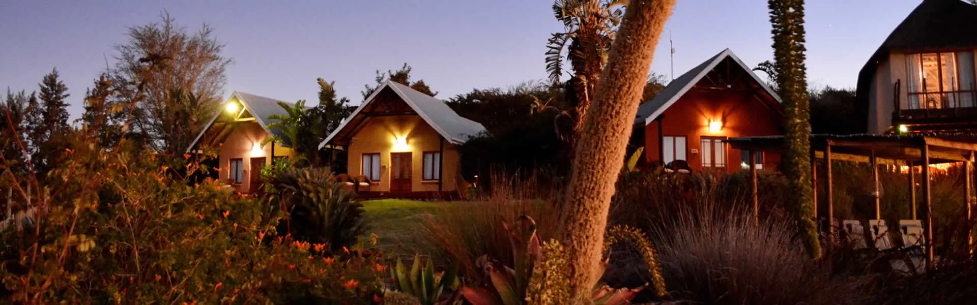 Cozy wooden cabins with lights on surrounded by lush greenery at dusk
