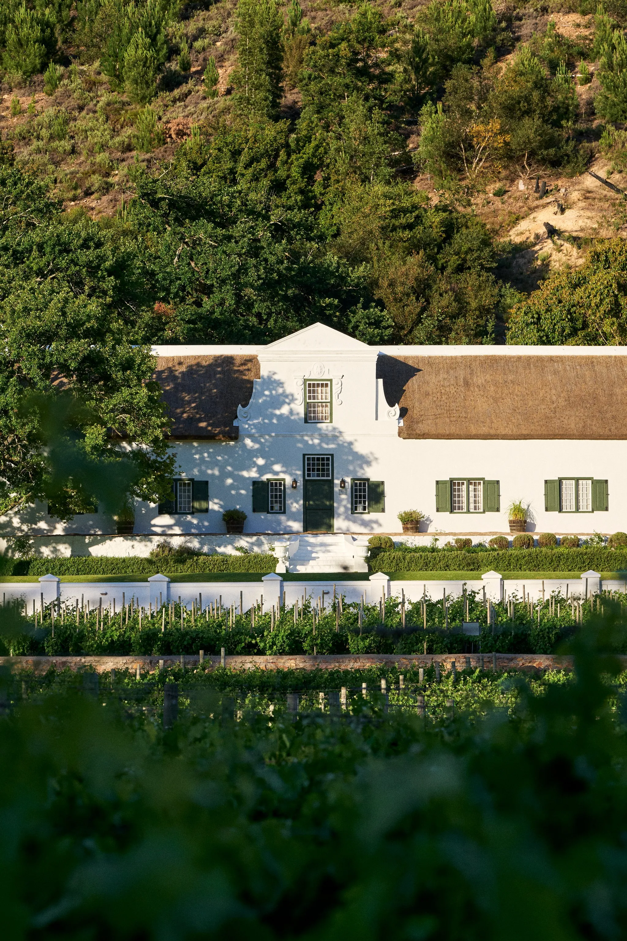 White house with green shutters surrounded by greenery and a garden