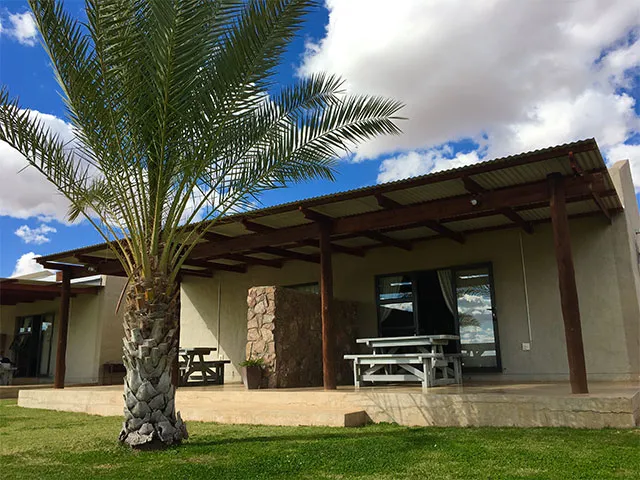 A palm tree in front of a house with a patio and picnic tables