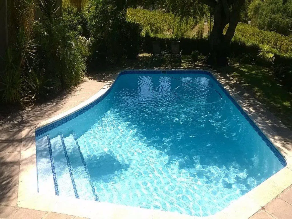 Swimming pool with steps in a garden surrounded by greenery