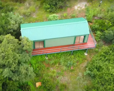 Green cabin with wooden deck surrounded by lush greenery in a forest