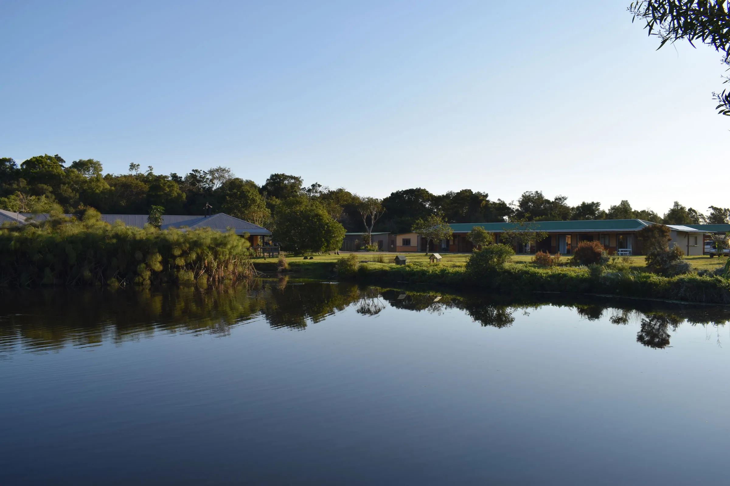 Buildings by a lake with trees and bushes under a clear blue sky