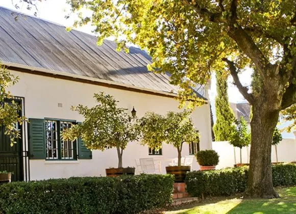 White cottage with green shutters potted plants and trees in a garden setting