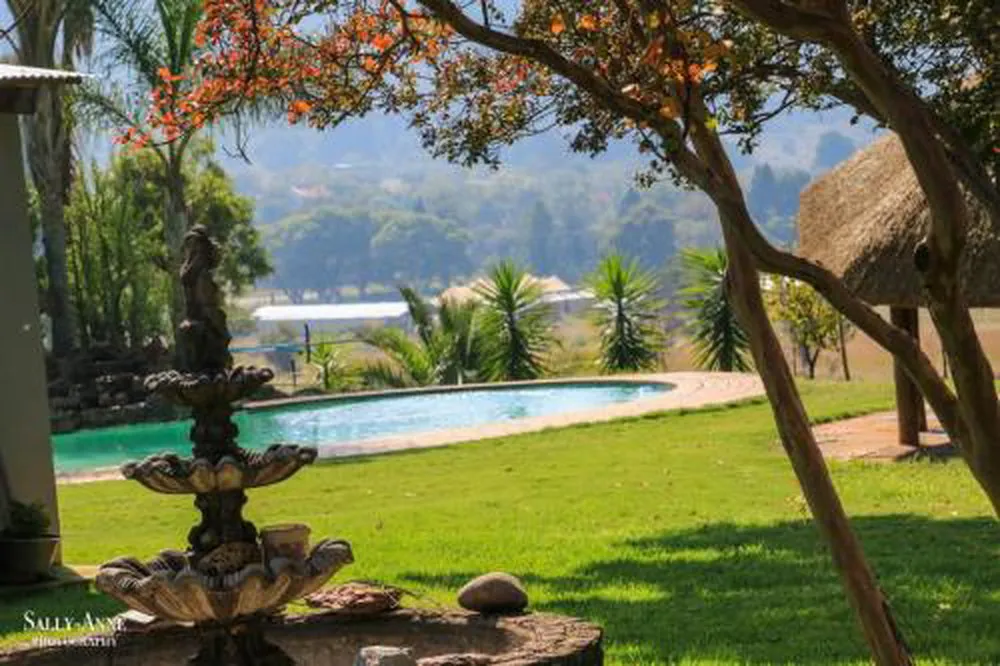 Ornate fountain in a garden with a swimming pool and lush greenery