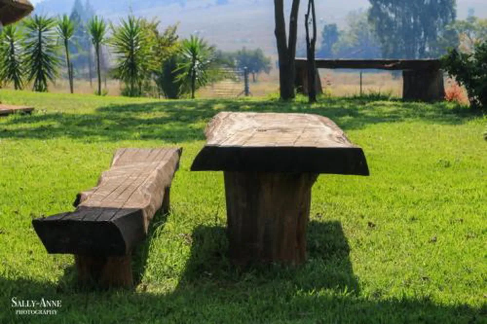 Wooden table and bench set in a grassy outdoor area with trees in background