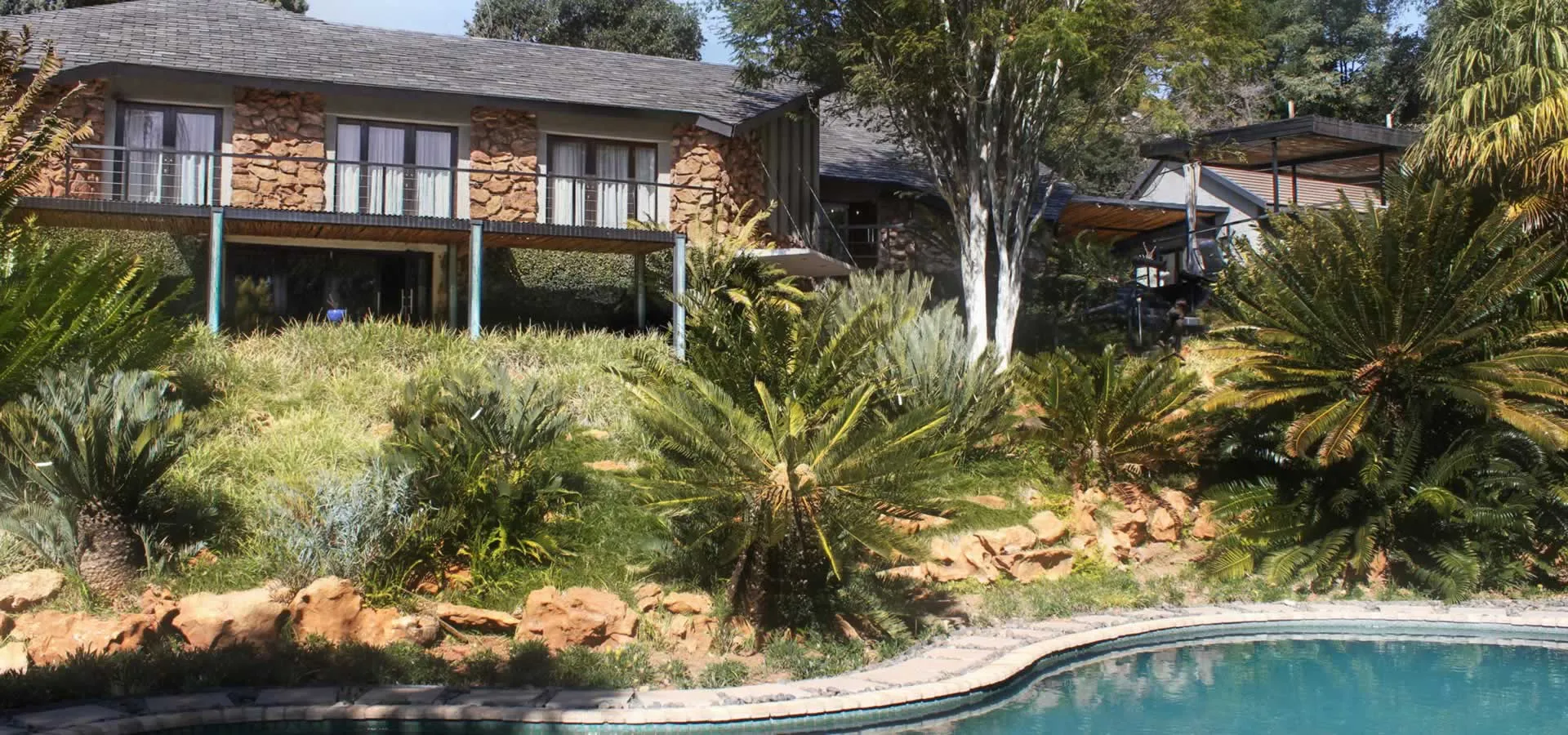 Modern house with large windows surrounded by lush greenery and a swimming pool