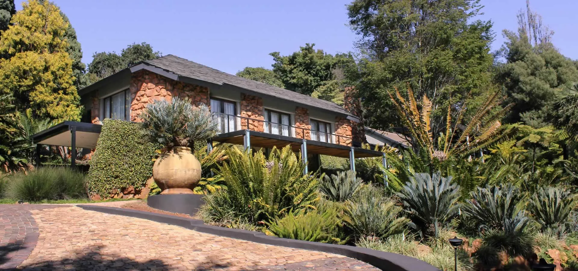 Modern house with large windows surrounded by lush greenery and desert plants
