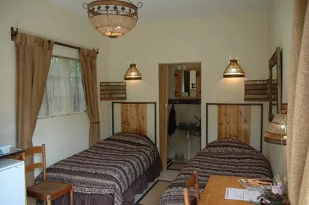 Two single beds in a cozy bedroom with wooden headboards and rustic decor