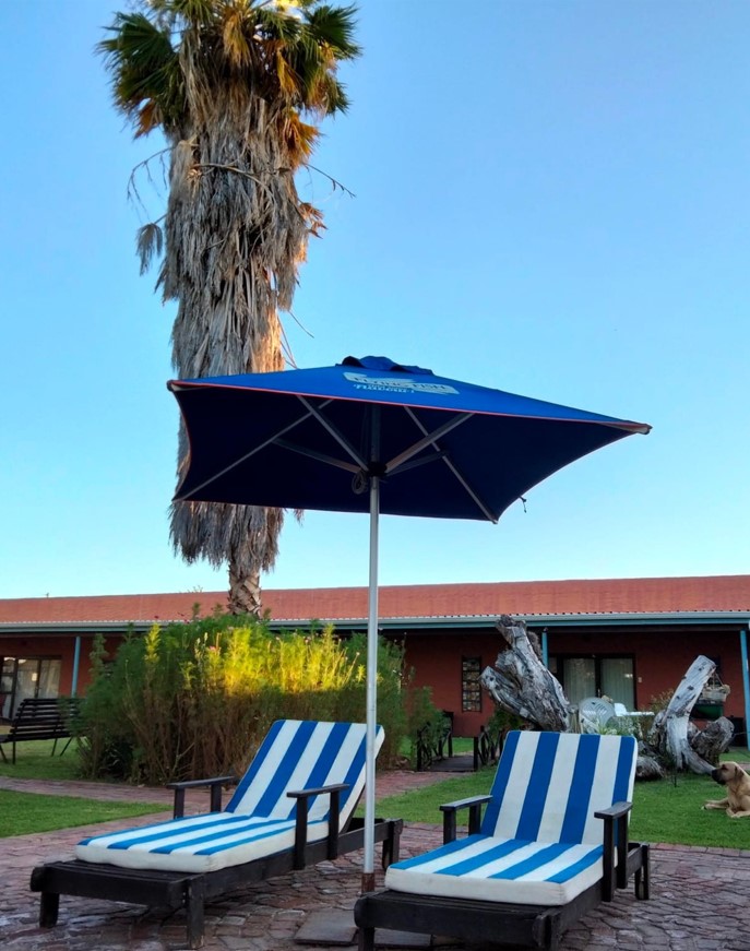 Two blue and white lounge chairs under an umbrella near a palm tree.