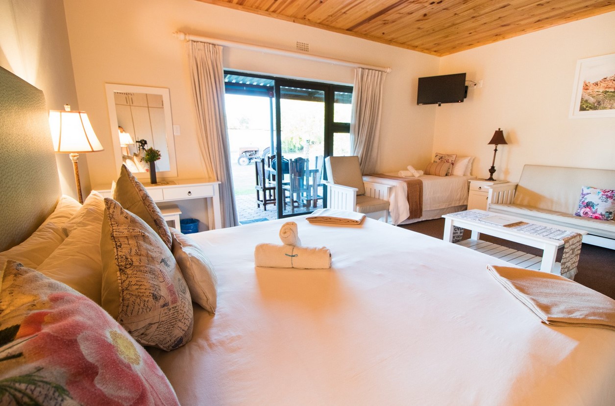 Cozy bedroom with large bed, sofa, TV, and outdoor view through sliding doors.
