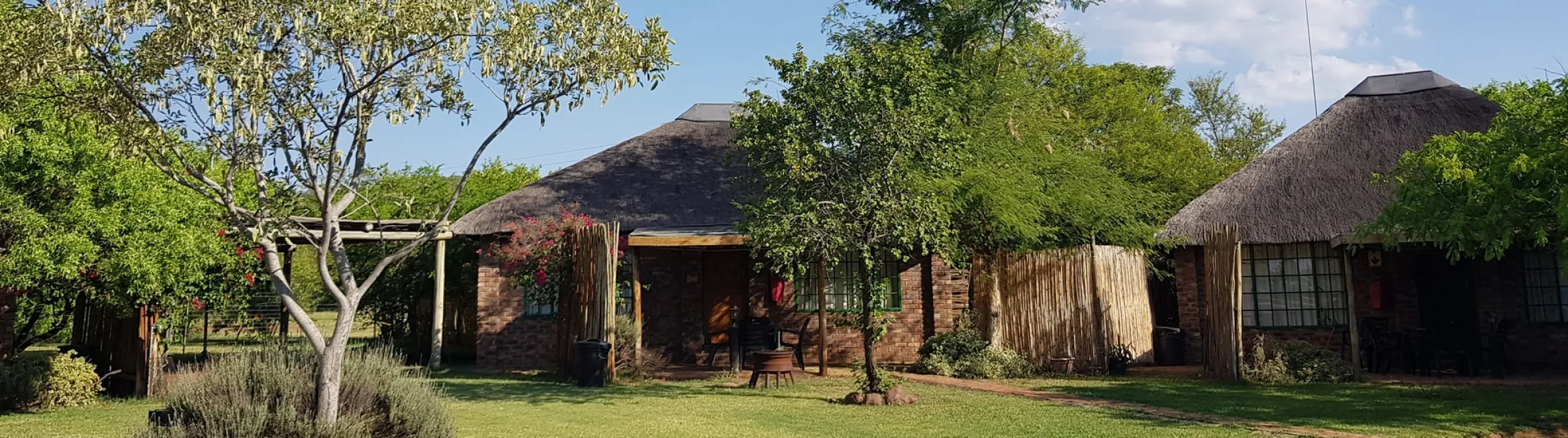 Traditional huts with thatched roofs surrounded by trees in a rural setting