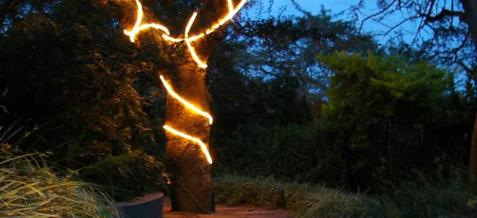 Tree wrapped with glowing lights in a garden at dusk
