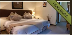 Cozy bedroom with a large bed pillows and a bedside lamp