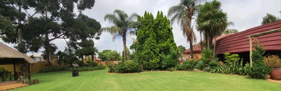 Lush green garden with palm trees and a building with a red roof