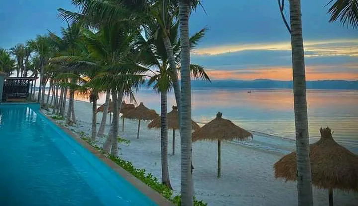 Beach with palm trees thatched umbrellas and a pool overlooking the ocean at sunset