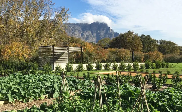 Vegetable garden with mountain view and wooden structure in the background