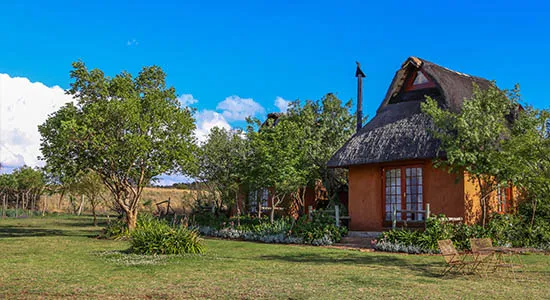 A thatchedroof cottage in a lush green field under a blue sky